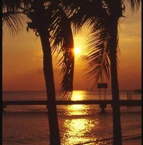 Meet your Posher, Ralph